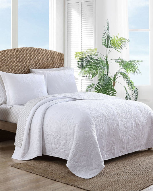 Tommy Bahama Latest - Solid Costa Sera 2-Piece King Quilted Sham Set